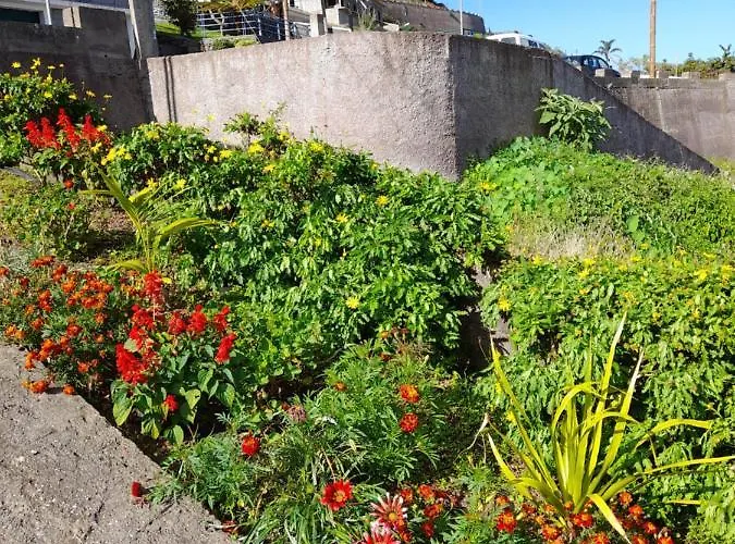 Panoramic Ocean View House São Roque do Faial